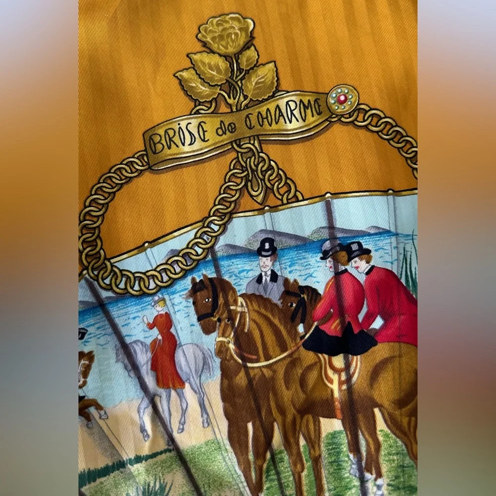 RARE Hermes Brise de charme Silk scarf - Picture 5 of 11